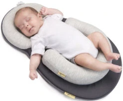 Babymoov Cosydream Smokey Steunkussen A050406 -Babyproducten Winkel 81tya0bm1zl. sl1500 1