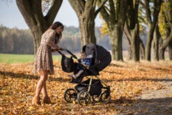 Baby Merc Mango Black/Gold LTD Kinderwagen Incl. Autostoel ML/204 12 Baby Merc Mango Black/Gold LTD Kinderwagen Incl. Autostoel ML/204 -Babyproducten Winkel baby merc mango limited edition black gold