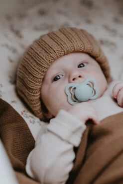 Bibs Try-it Sage 0-6 Mnd 4 Stuks Fopspenen 91343 -Babyproducten Winkel bibs supreme fopspeen 2 3