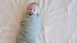 Bibs Swaddle Ivory 120 X 120 Cm Hydrofiel Multidoek 9402216 -Babyproducten Winkel bibs swaddle 120 x 120 cm multidoek 2