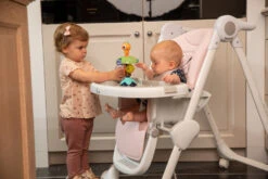 Bo Jungle B-Suction Toy Smart Owl Kinderstoel Speelgoed B910810 17 Bo Jungle B-Suction Toy Smart Owl Kinderstoel Speelgoed B910810 -Babyproducten Winkel bo jungle b suction toy smart owl kinderstoel speelgoed b910810 7