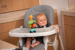 Bo Jungle B-Suction Toy Smart Owl Kinderstoel Speelgoed B910810 18 Bo Jungle B-Suction Toy Smart Owl Kinderstoel Speelgoed B910810 -Babyproducten Winkel bo jungle b suction toy smart owl kinderstoel speelgoed b910810 8