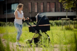 Ding Fenix Black/Rose Kinderwagen DI-191702 35 Ding Fenix Black/Rose Kinderwagen DI-191702 -Babyproducten Winkel ding fenix rose kinderwagen