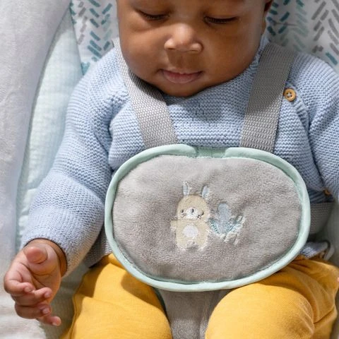 Ingenuity AnyWay Sway PowerAdapt Spruce Portable Babyswing K12058 10 Ingenuity AnyWay Sway PowerAdapt Spruce Portable Babyswing K12058 - Afbeelding 8