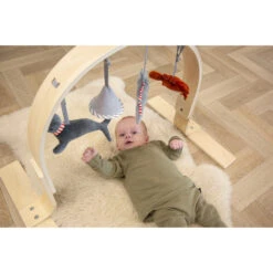 Tryco Houten Babygym TR-303011 15 Tryco Houten Babygym TR-303011 -Babyproducten Winkel mamaloes tryco babygym 02 1