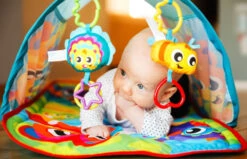 Playgro Honey Bee Bear Activity Tunnel Speelkleed P0186992 -Babyproducten Winkel playgro honey bee bear activity tunnel speelkleed p0186992 8