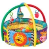 Playgro Play & Grow Activiteiten Speelkleed Ballenbak P0184007