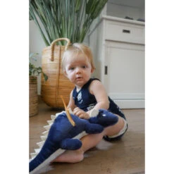 Tryco Draak Diego 38 Cm Knuffel TR-243331 -Babyproducten Winkel tr 243331 cuddly toy dragon diego 06