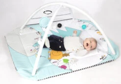 Tryco 5-in-1 Lovely Park Ball Play Activity Gym Speelkleed TR-140202 28 Tryco 5-in-1 Lovely Park Ball Play Activity Gym Speelkleed TR-140202 -Babyproducten Winkel tryco 5 in 1 lovely park ball play activity gym speelkleed tr 140202 16