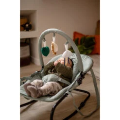 Tryco Lion Leo Groen Wipstoel TR-272703 19 Tryco Lion Leo Groen Wipstoel TR-272703 -Babyproducten Winkel tryco lion leo groen wipstoel tr 272703 sfeer1
