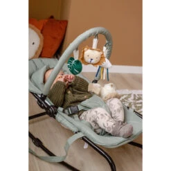 Tryco Lion Leo Groen Wipstoel TR-272703 20 Tryco Lion Leo Groen Wipstoel TR-272703 -Babyproducten Winkel tryco lion leo groen wipstoel tr 272703 sfeer2