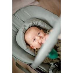 Tryco Lion Leo Groen Wipstoel TR-272703 23 Tryco Lion Leo Groen Wipstoel TR-272703 -Babyproducten Winkel tryco lion leo groen wipstoel tr 272703 sfeer4